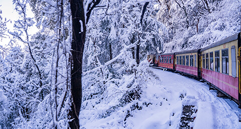 Himachal Tour Package