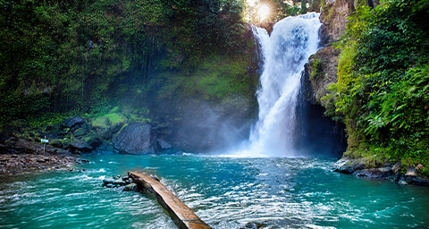 Bali Tour
