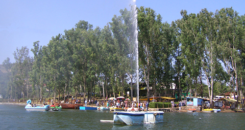 Saputara Tour Package
